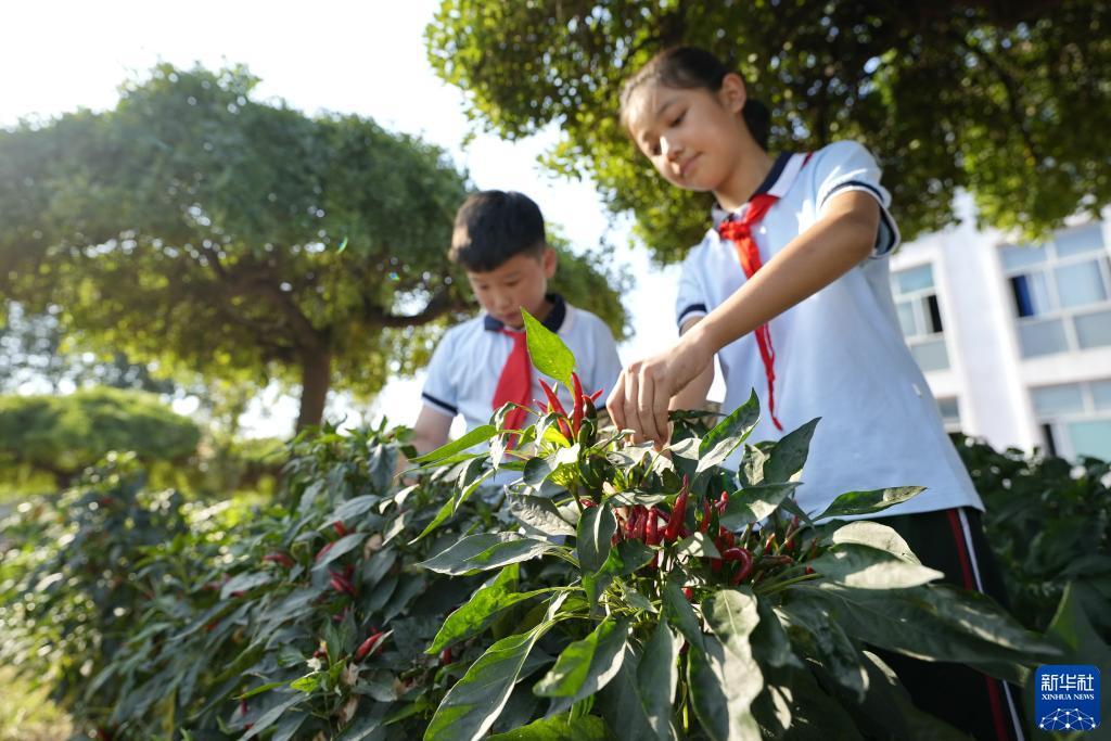 大满贯麻将游戏下载